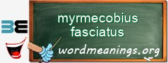 WordMeaning blackboard for myrmecobius fasciatus